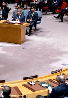 Xem xét kết nạp Palestine làm thành viên chính thức của Liên hợp quốc