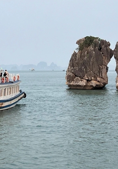 Hơn 1 triệu lượt khách tham quan vịnh Hạ Long