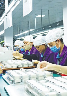 Cơ hội cho Việt Nam từ làn sóng đầu tư Trung Quốc