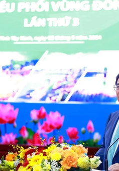 Thủ tướng: Tập trung triển khai quy hoạch để vùng Đông Nam Bộ phát triển tăng tốc, đột phá