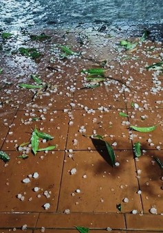 Lào Cai: Mưa đá bất ngờ trút xuống trong đêm
