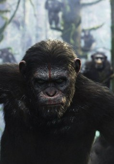 Dawn of the Planet of the Apes đứng đầu doanh thu phòng vé tại Bắc Mỹ
