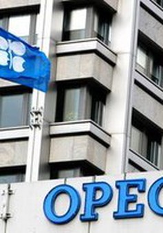 OPEC giữ mục tiêu sản lượng 30 triệu thùng dầu/ngày