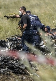 Chuẩn bị nhận dạng thi thể nạn nhân vụ rơi máy bay MH17