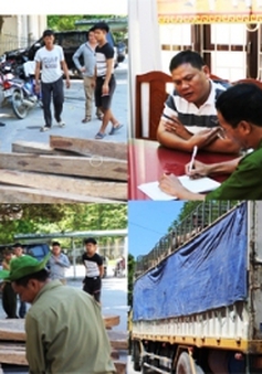 Thanh Hoá: Trạm trưởng kiểm lâm bị bắt quả tang nhận hối lộ 100 triệu VND