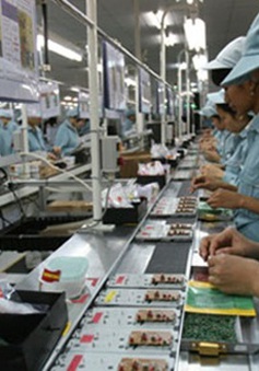 Đầu tư tư nhân góp phần đáng kể cho tăng trưởng kinh tế Việt Nam
