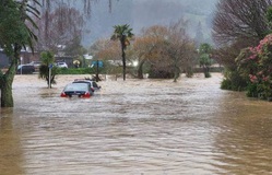 Việc khắc phục hậu quả lũ lụt ở New Zealand ước tính mất “nhiều năm”