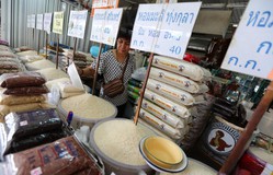 Xuất khẩu gạo Thái Lan đối mặt với nhiều khó khăn