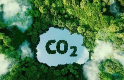 Sớm hoàn thiện đề án phát triển thị trường carbon