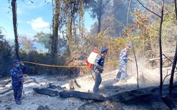 Cháy tại khu vực bìa Vườn quốc gia Phú Quốc