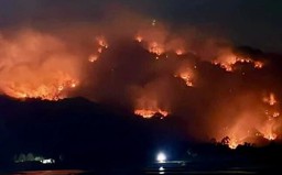An Giang: Khẩn trương chữa cháy rừng trên khu vực xã Núi Tô