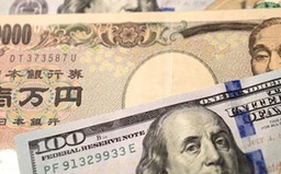 Dự trữ ngoại hối của Nhật Bản giảm