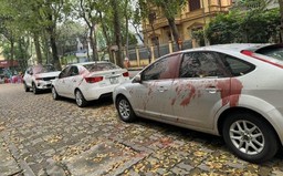 Hà Nội: Bắt 4 đối tượng tạt sơn vào nhiều xe ô tô