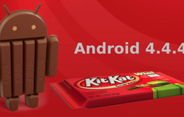Dòng Galaxy chuẩn bị được Samsung cập nhật Android Kitkat 4.4.4?
