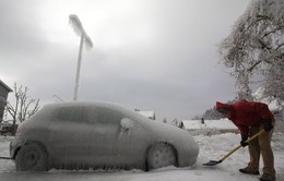 Nhật Bản: Bão tuyết bất ngờ làm 7 người thiệt mạng