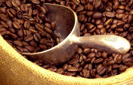 Việt Nam xuất khẩu 1,6 triệu tấn cà phê