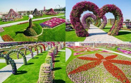 Dubai Miracle Garden - Công viên hấp dẫn nhất thế giới