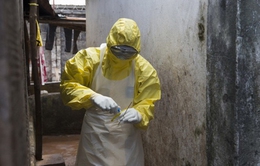 Mali xác nhận ca thứ 2 tử vong do virus Ebola