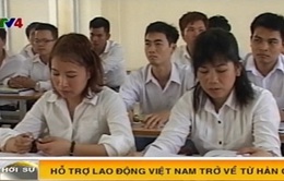Đào tạo miễn phí lao động Việt Nam trở về từ Hàn Quốc