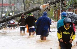 Thủ đô Manila chủ động ứng phó bão Hagupit