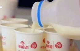 Người dùng Trung Quốc chuyển sang sử dụng các sản phẩm sữa Mỹ