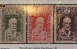 Giới thiệu bộ sưu tập tem về bác sĩ A.Yersin