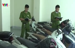 Hà Tĩnh: Triệt phá đường dây tiêu thụ xe máy trộm cắp