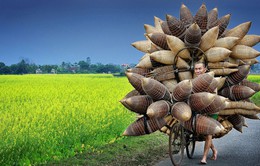 Ảnh du lịch của nhiếp ảnh gia Việt Nam lọt top 20 thế giới