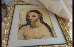 Pháp: Tịch thu bức tranh Picasso trị giá 27 triệu USD
