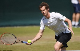 John McEnroe tin Andy Murray đánh bại Nole, vô địch Wimbledon 2015