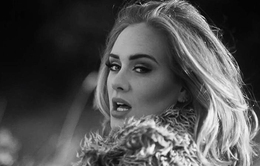 Adele: “Có lúc, tôi sẽ là con sư tử cái”