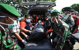 Vụ máy bay AirAsia mất tích: Tìm thấy thêm 7 thi thể