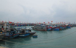 Các tỉnh miền Trung kêu gọi tàu thuyền tránh trú bão Melor