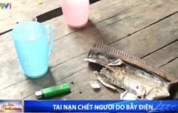 Tai nạn chết người do bẫy điện diệt chuột