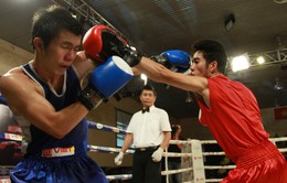 SEA Games 28: Boxing Việt Nam kỳ vọng vào nhân tố mới