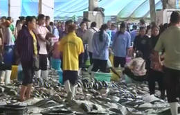 Thái Lan đối mặt với áp lực phải cải tổ ngành thủy sản
