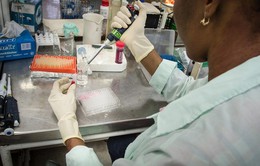 Phát hiện mới về thuốc điều trị ung thư từ vaccine sốt rét