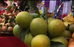 Lễ hội cam Cao Phong lần thứ nhất tiêu thụ gần 20 tấn cam
