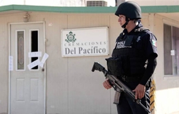 Cảnh sát Mexico tìm thấy 60 thi thể trong lò hỏa táng bỏ hoang