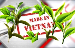 Chè Việt "chìm nổi" trên thị trường quốc tế: Do đâu?
