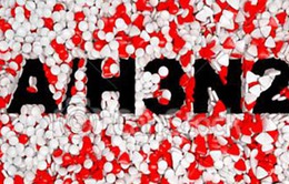 Dịch cúm H3N2 đe dọa Hong Kong (Trung Quốc)