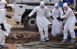 Một năm dịch Ebola hoành hành khắp Tây Phi