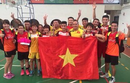 Đá cầu Việt Nam nhất toàn đoàn tại Giải đá cầu vô địch thế giới