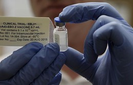 WHO thử nghiệm vaccine Ebola trên phạm vi rộng ở Guinea