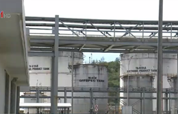 Nhà máy sản xuất Ethanol hoạt động cầm chừng