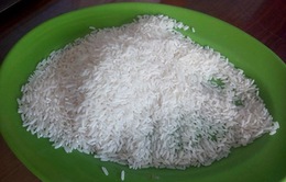 ‘Không có hiện tượng gạo giả, gạo cao su’