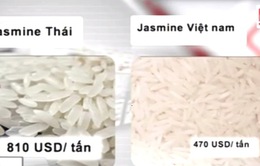 Vì sao gạo Việt lép vế trên thị trường quốc tế?