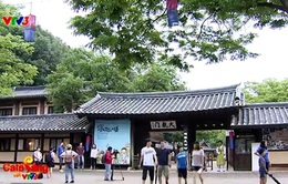 Đến Gyeonggi trải nghiệm văn hóa truyền thống Hàn Quốc