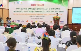 Chăn nuôi gia cầm: Tăng năng lực cạnh tranh trước hội nhập TPP