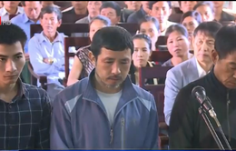 Hoãn xét xử vụ sập giàn giáo công trường Formosa, Hà Tĩnh